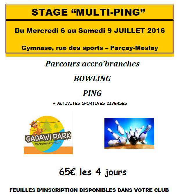 Stage Multiactivités Comité 2016
