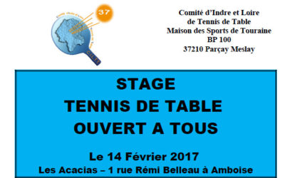 Stage ouvert à tous à Amboise