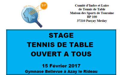 Stage ouvert à tous à Azay le Rideau