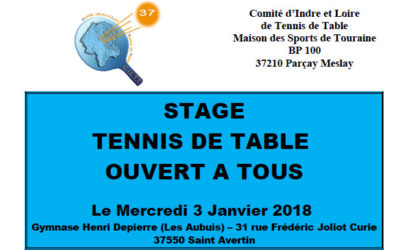 Stage ouvert à tous à Saint Avertin