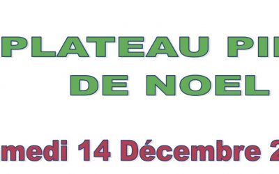 Plateaux Ping de Noël Nord et Sud