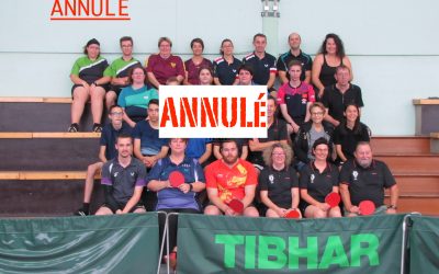 La Coupe Mixte à Cinq Mars La Pile