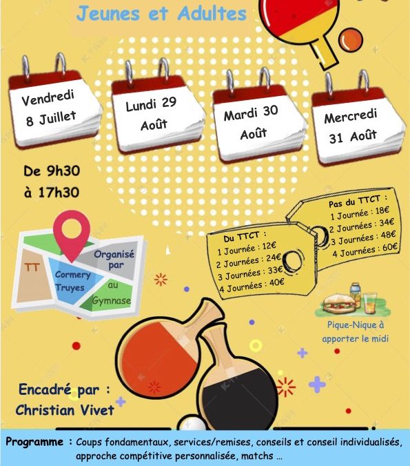 Stage de Ping d’été à Cormery-Truyes